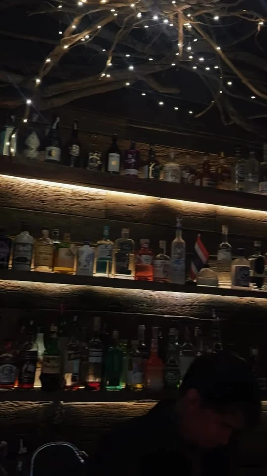 Warm bottle shelves and twisting roots inside Root Bar.