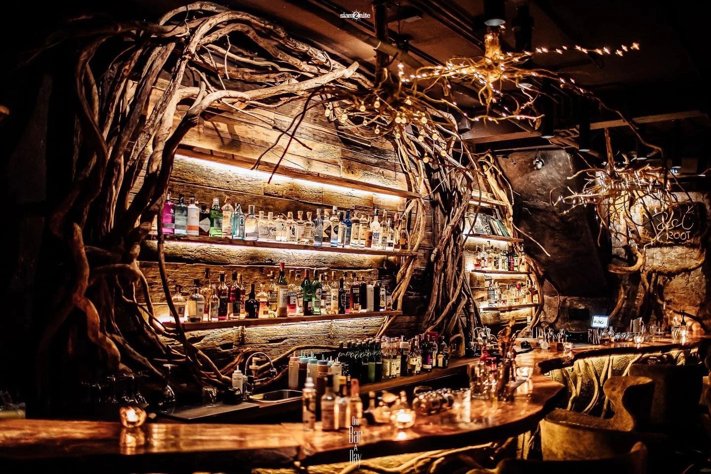 Root Bar’s intimate counter and sculptural roots